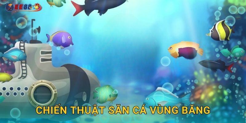 Chiến thuật săn cá vùng băng