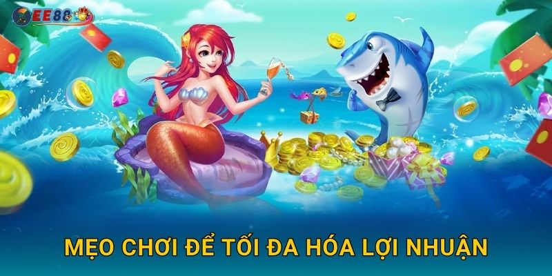 Mẹo chơi để tối đa hóa lợi nhuận