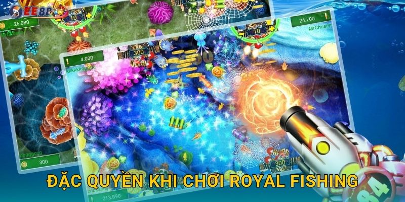 Đặc quyền khi chơi Royal Fishing